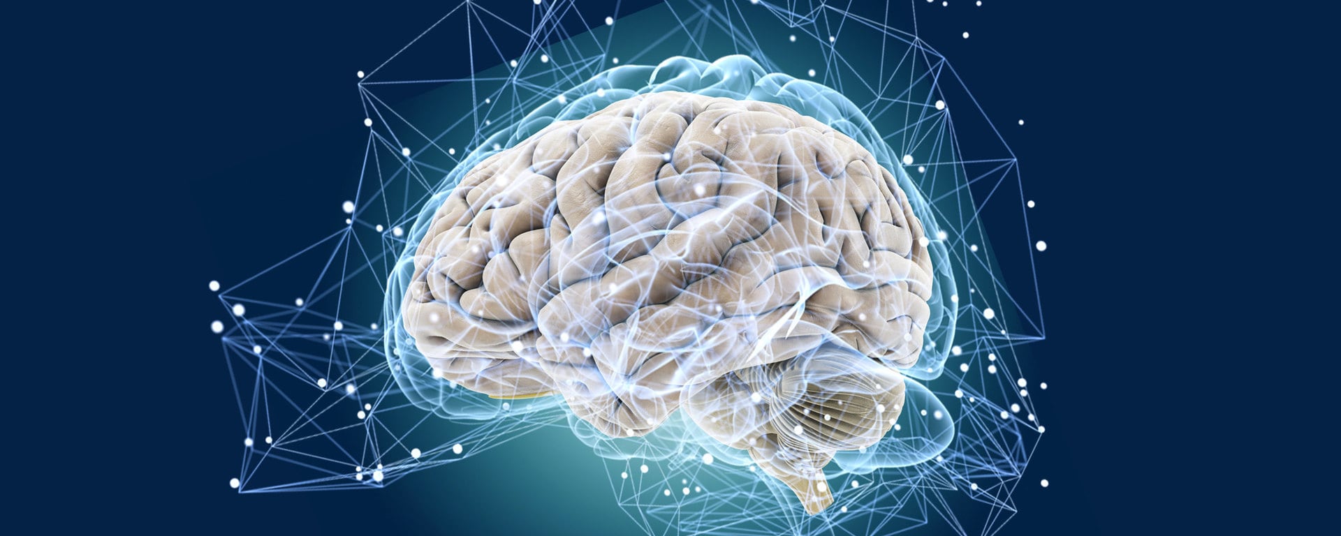 Ученые создали искусственный мозг из 31 тысячи нейронов